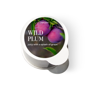 Wild Plum Pod